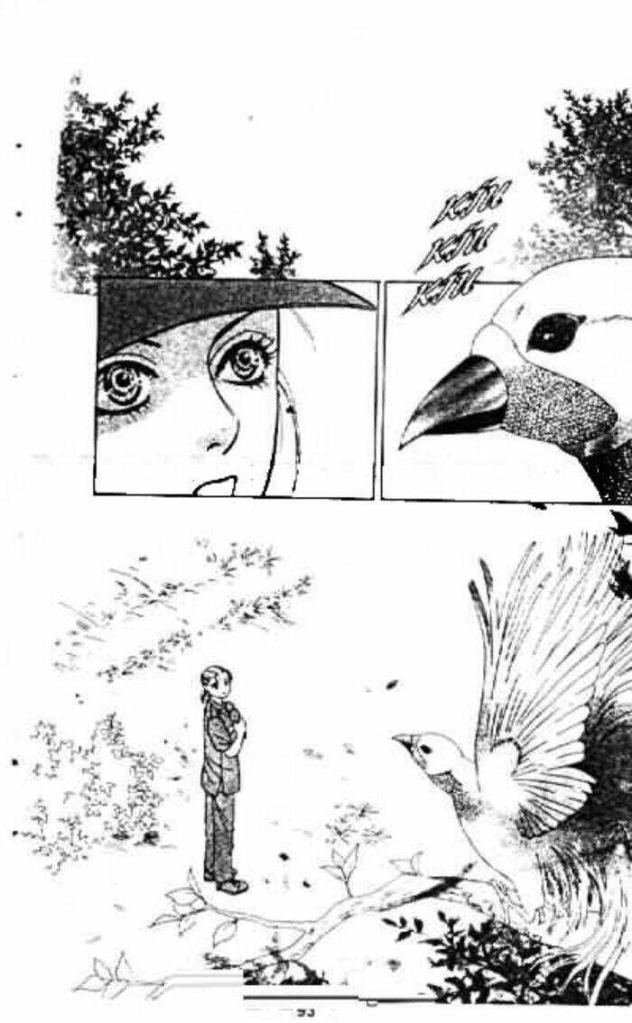 Petshop Of Horrors Chapter 2 - Trang 2