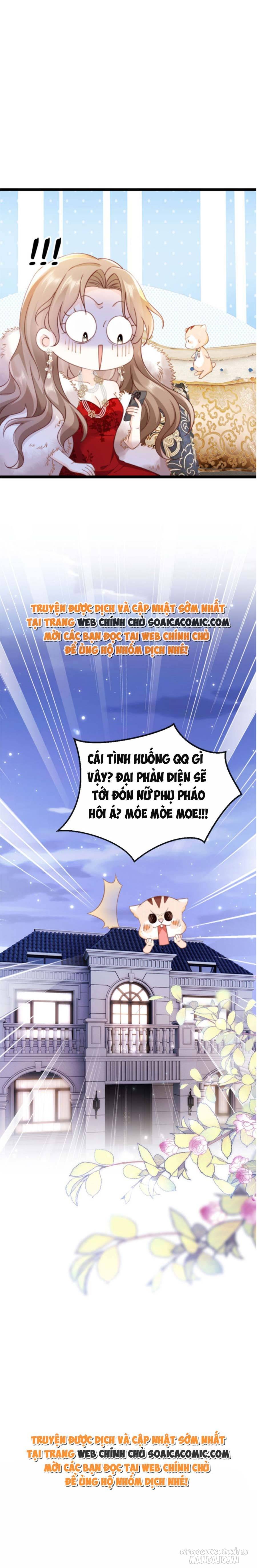 Phá Vỡ Kế Hoạch Của Tra Nam Tôi Về Bên Đại Boss Chapter 3 - Trang 2