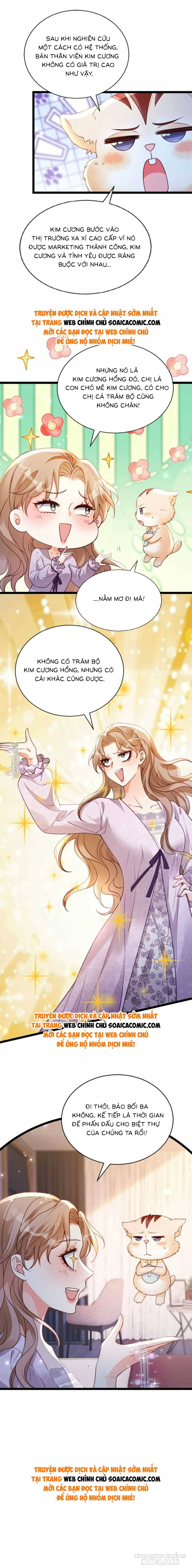 Phá Vỡ Kế Hoạch Của Tra Nam Tôi Về Bên Đại Boss Chapter 31 - Trang 2