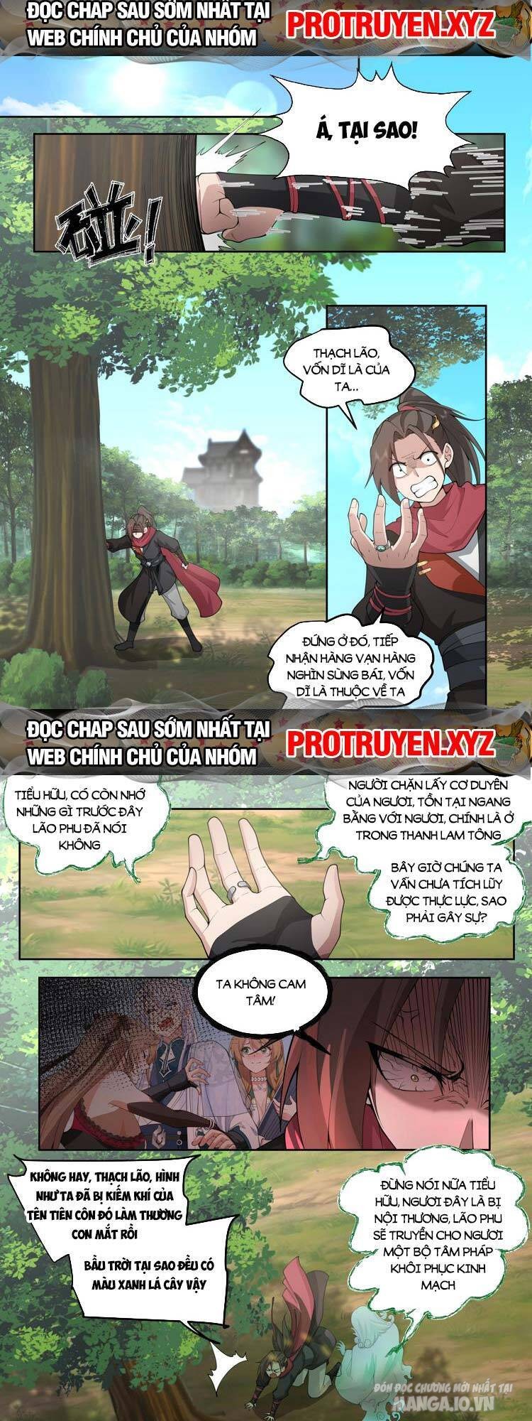 Phản Diện Đại Sư Huynh, Tất Cả Các Sư Muội Đều Là Yandere Chapter 23 - Trang 2