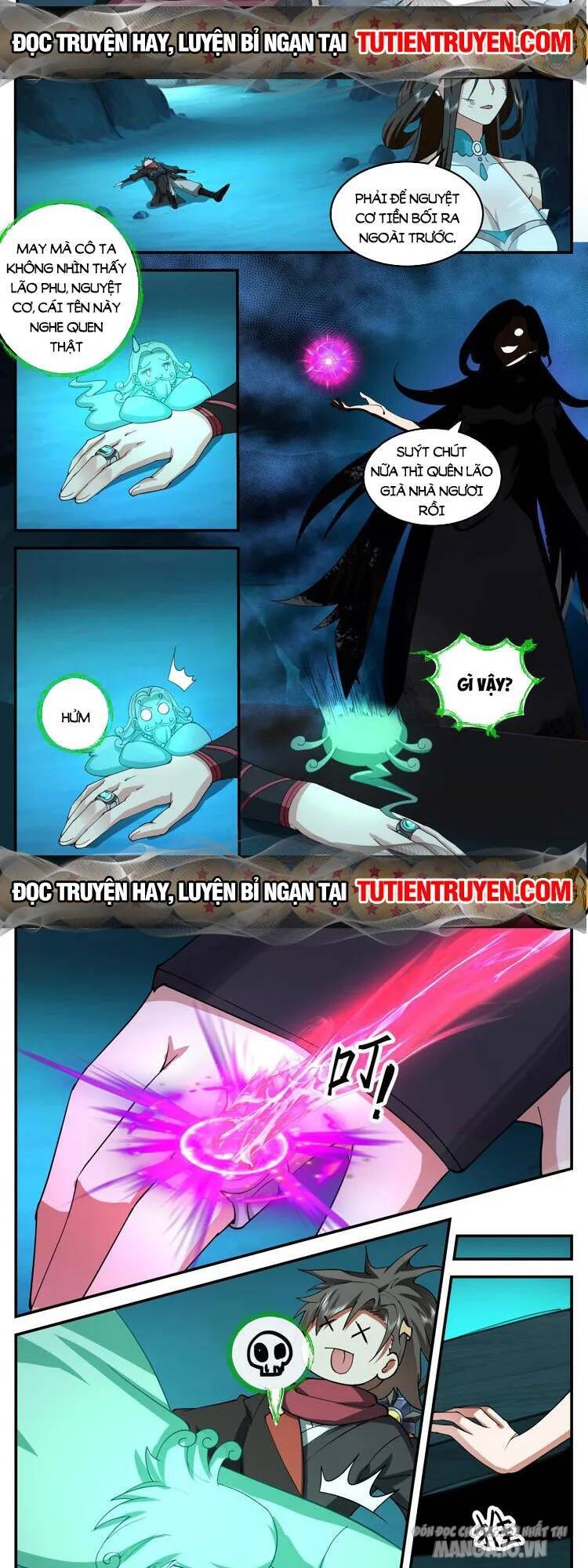 Phản Diện Đại Sư Huynh, Tất Cả Các Sư Muội Đều Là Yandere Chapter 36 - Trang 2