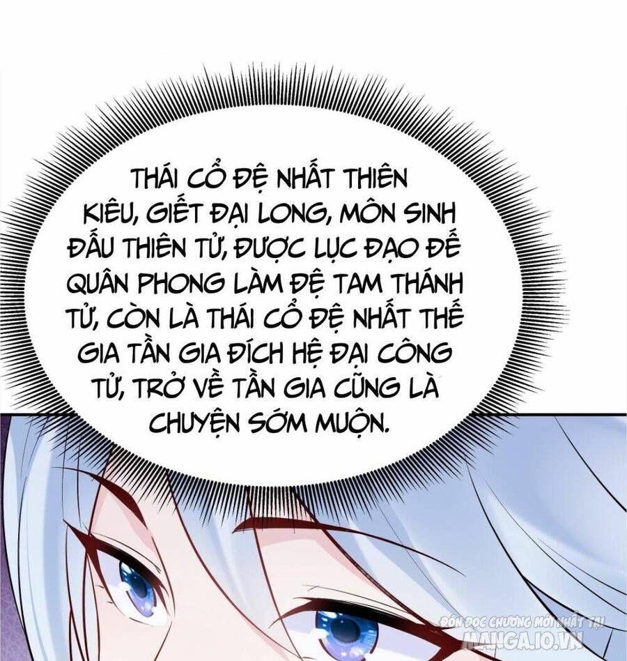 Phản Diện Này Có Chút Lương Tâm, Nhưng Không Nhiều! Chapter 118 - Trang 2