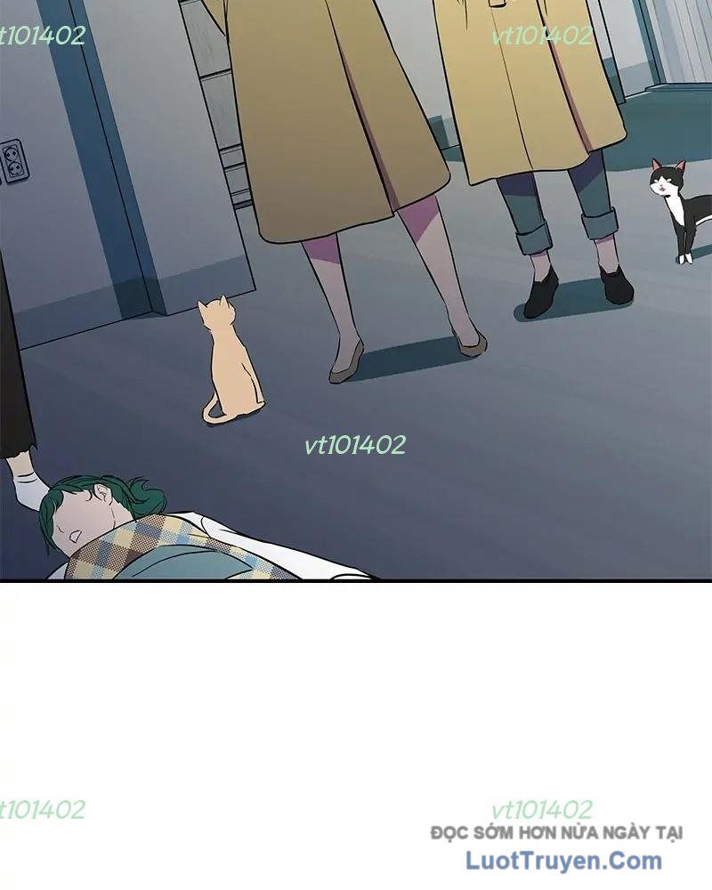Phản Diện Vô Năng Chapter 31 - Trang 2