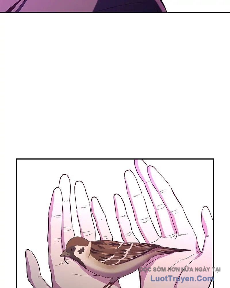 Phản Diện Vô Năng Chapter 4 - Trang 2