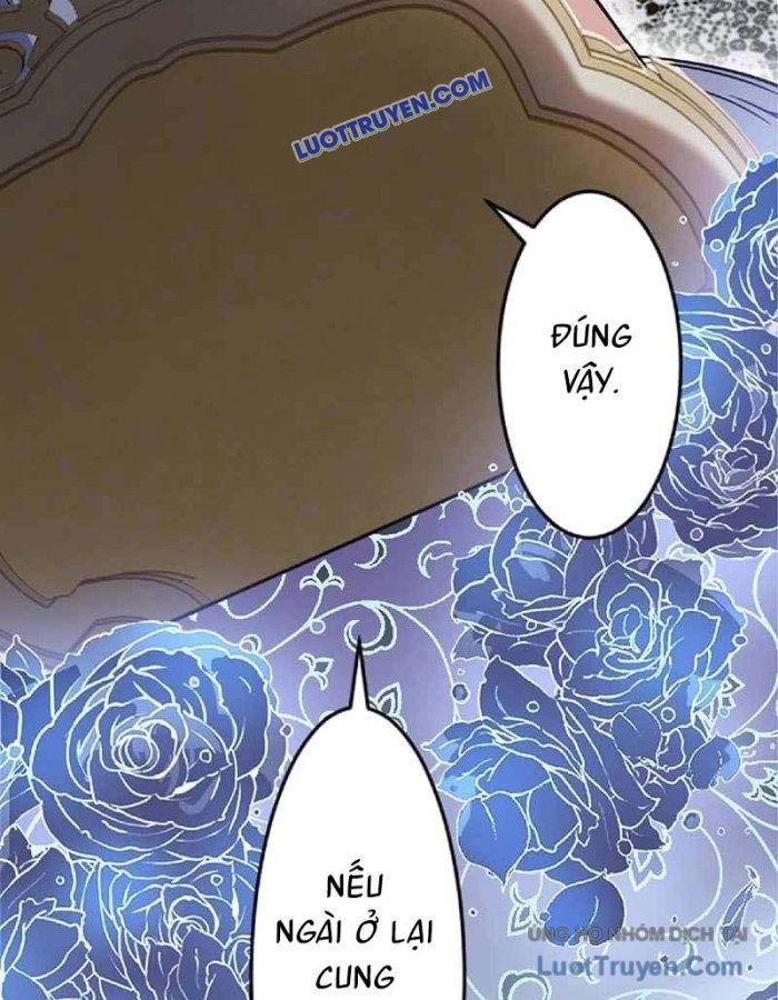 Pháp Sư Hỗ Trợ Bị Trục Xuất Trở Thành Hiền Giả Mạnh Nhất Chapter 3 - Trang 2