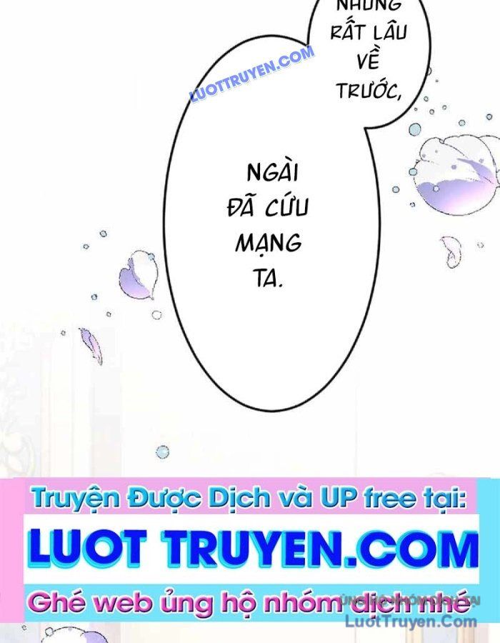Pháp Sư Hỗ Trợ Bị Trục Xuất Trở Thành Hiền Giả Mạnh Nhất Chapter 3 - Trang 2