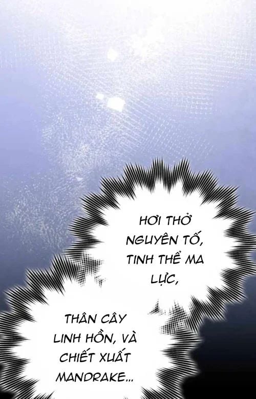 Pháp Sư Thiên Tài Phá Vỡ Giới Hạn Chapter 40 - Trang 2