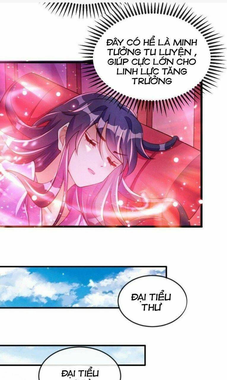 Phế Sài Tiểu Thư Muốn Nghịch Thiên Cải Mệnh Chapter 17 - Trang 2