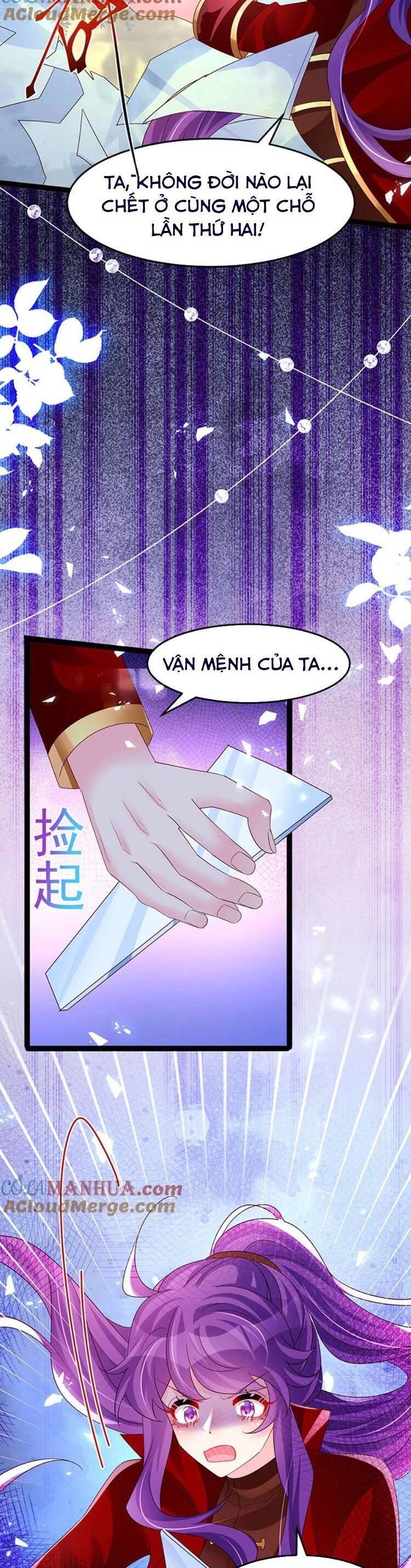 Phế Sài Tiểu Thư Muốn Nghịch Thiên Cải Mệnh Chapter 185 - Trang 2