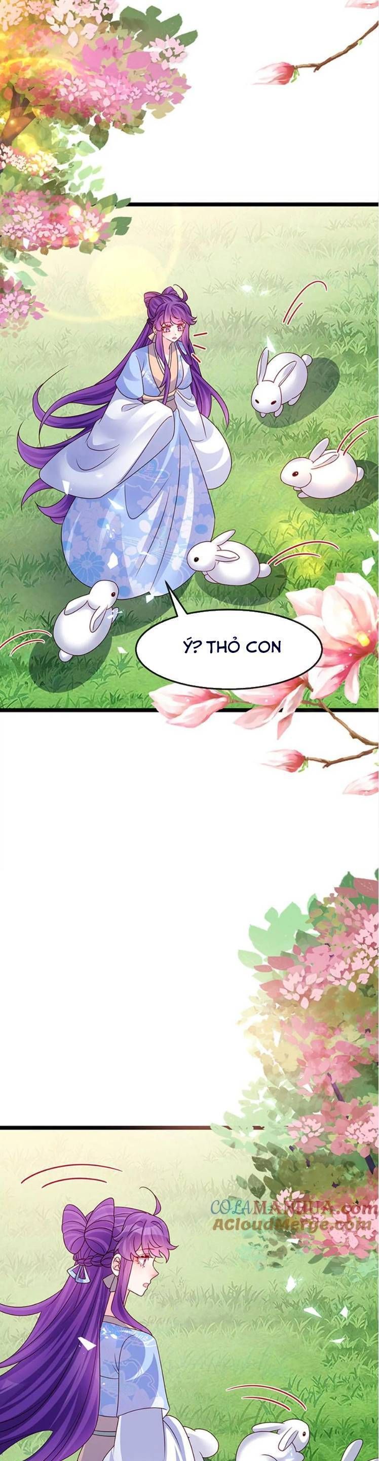 Phế Sài Tiểu Thư Muốn Nghịch Thiên Cải Mệnh Chapter 198 - Trang 2