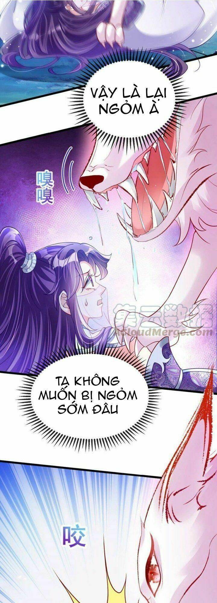 Phế Sài Tiểu Thư Muốn Nghịch Thiên Cải Mệnh Chapter 24 - Trang 2