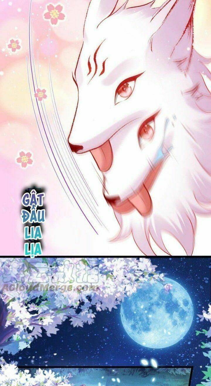 Phế Sài Tiểu Thư Muốn Nghịch Thiên Cải Mệnh Chapter 24 - Trang 2