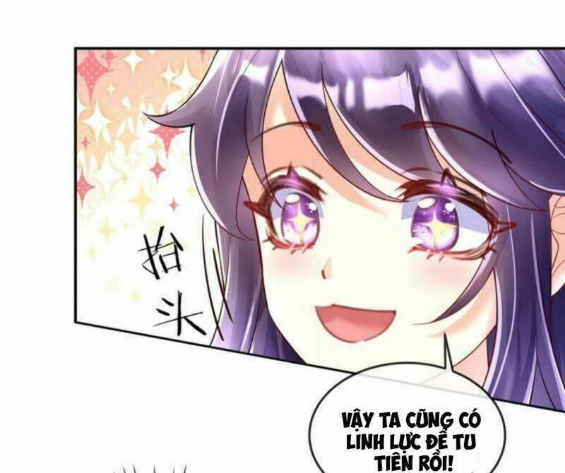 Phế Sài Tiểu Thư Muốn Nghịch Thiên Cải Mệnh Chapter 7 - Trang 2