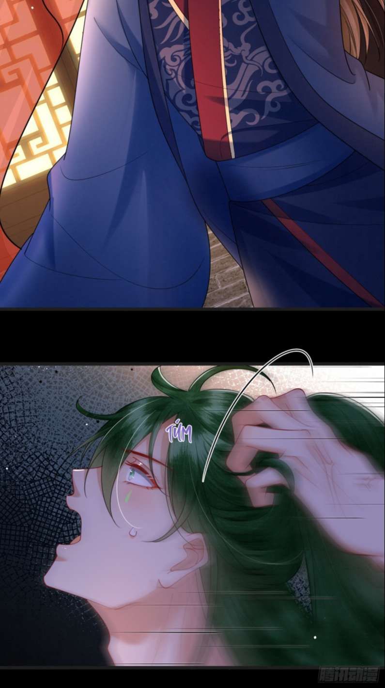 Phế Thê Trùng Sinh Chapter 28 - Trang 2