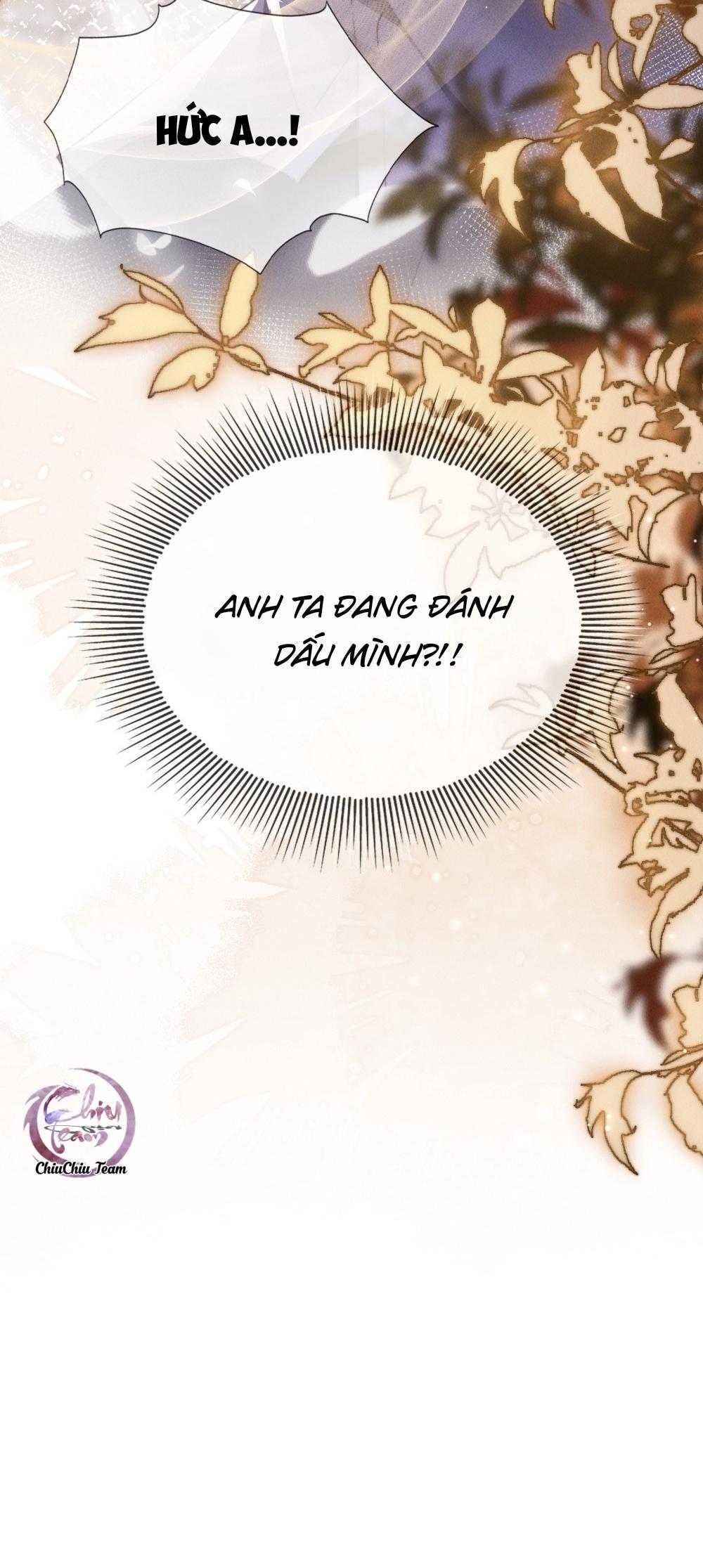 Phép Tắc Nuôi Dưỡng Chó Điên Chapter 6 - Trang 2
