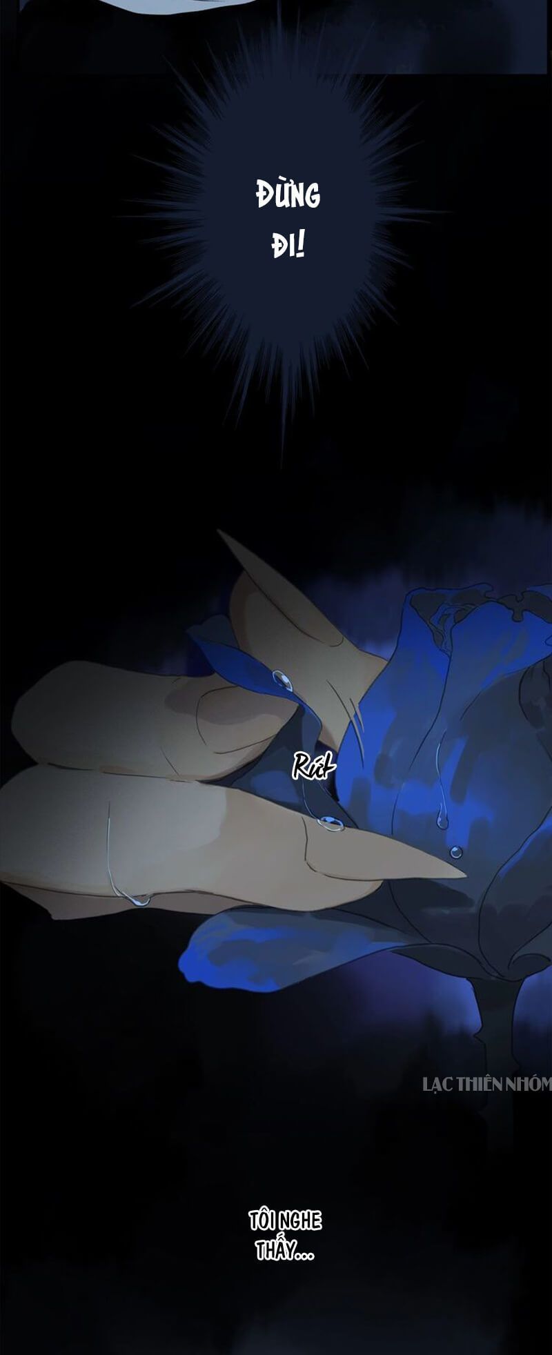 Phép Tắc Trường Ogus Chapter 49 - Trang 2