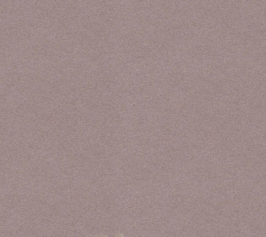 Phép Thuật Của Người Trở Về Phải Đặc Biệt Chapter 114 - Trang 2