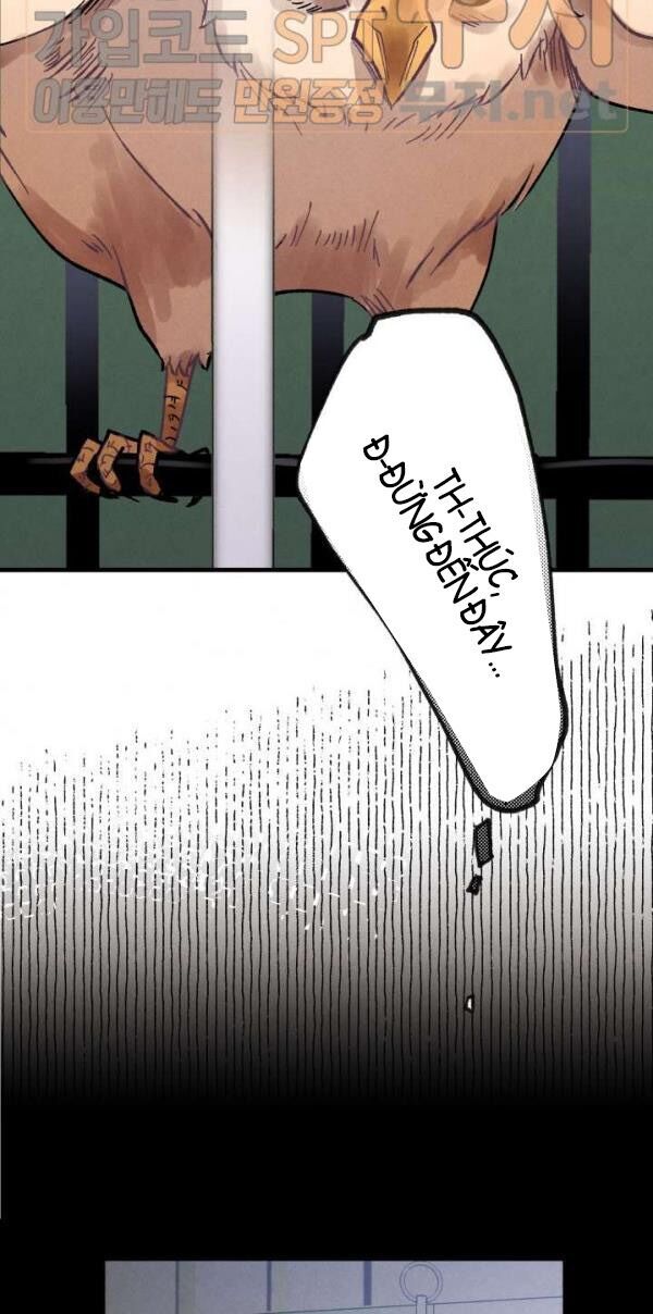 Phi Lôi Đao Thuật Chapter 21 - Trang 2