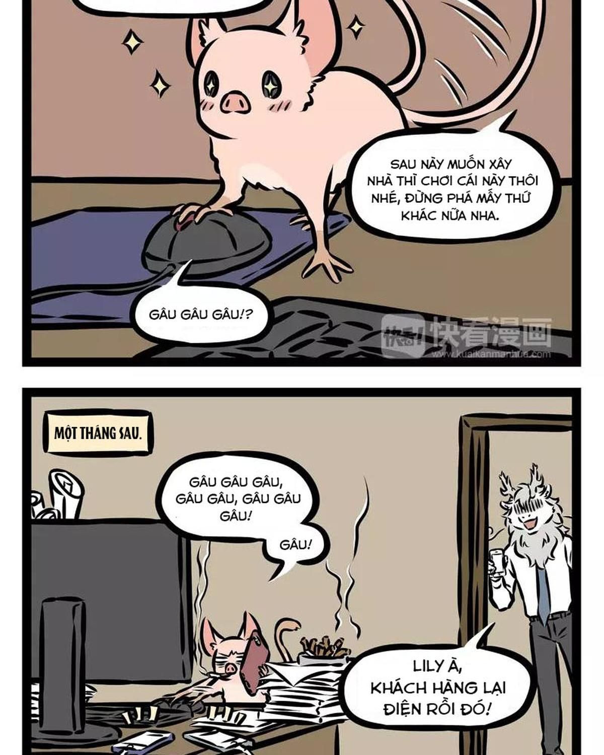 Phi Nhân Chapter 127 - Trang 2