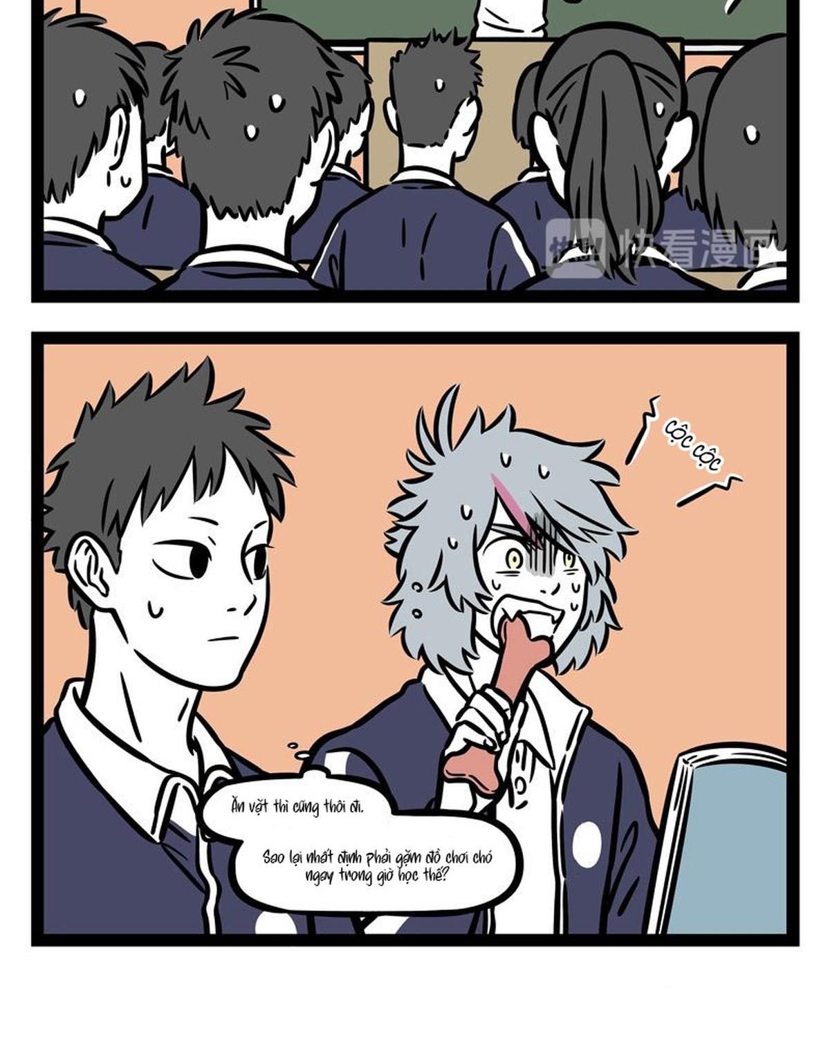 Phi Nhân Chapter 246 - Trang 2