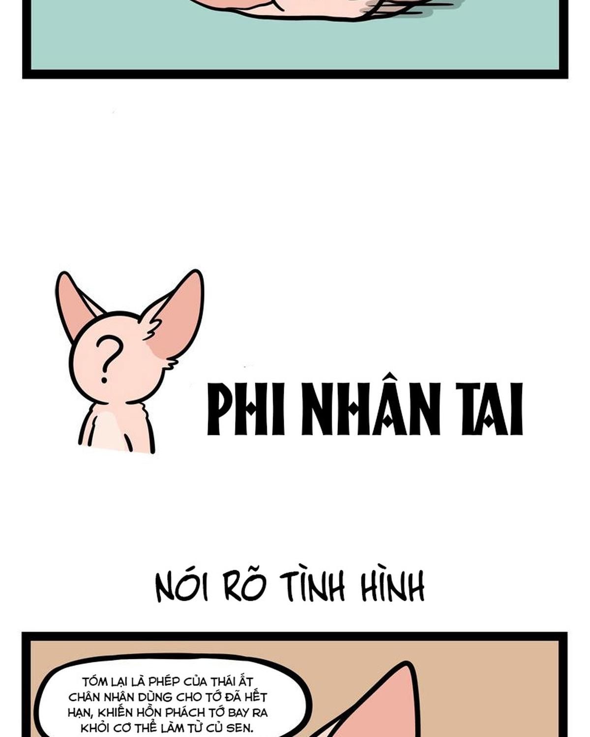 Phi Nhân Chapter 251 - Trang 2