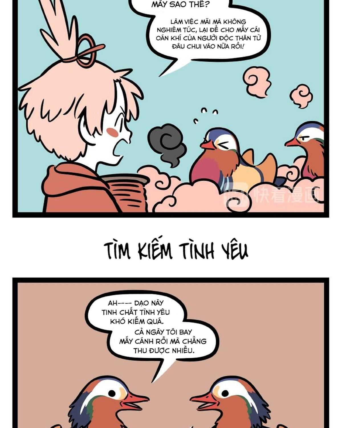 Phi Nhân Chapter 294 - Trang 2