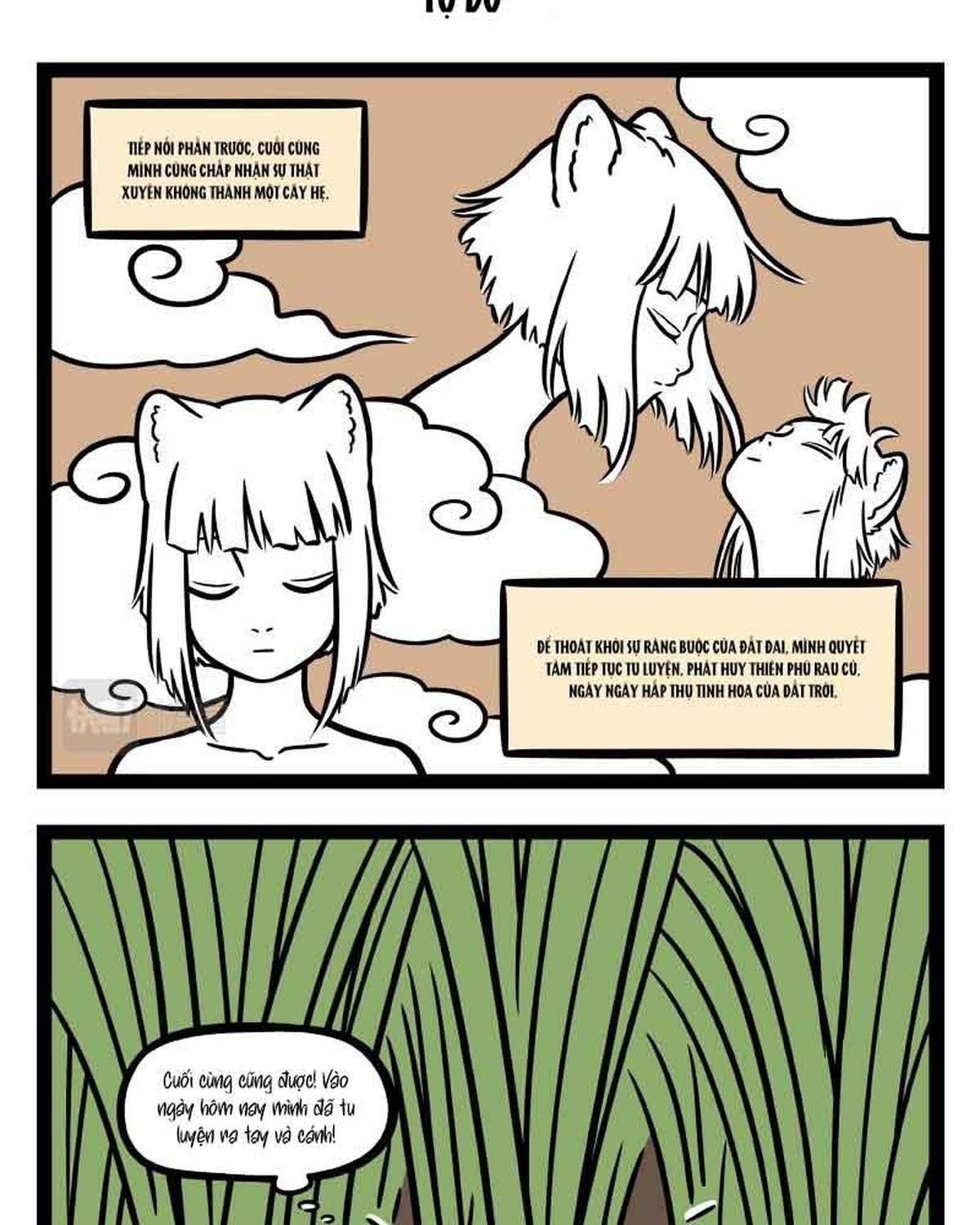 Phi Nhân Chapter 304 - Trang 2