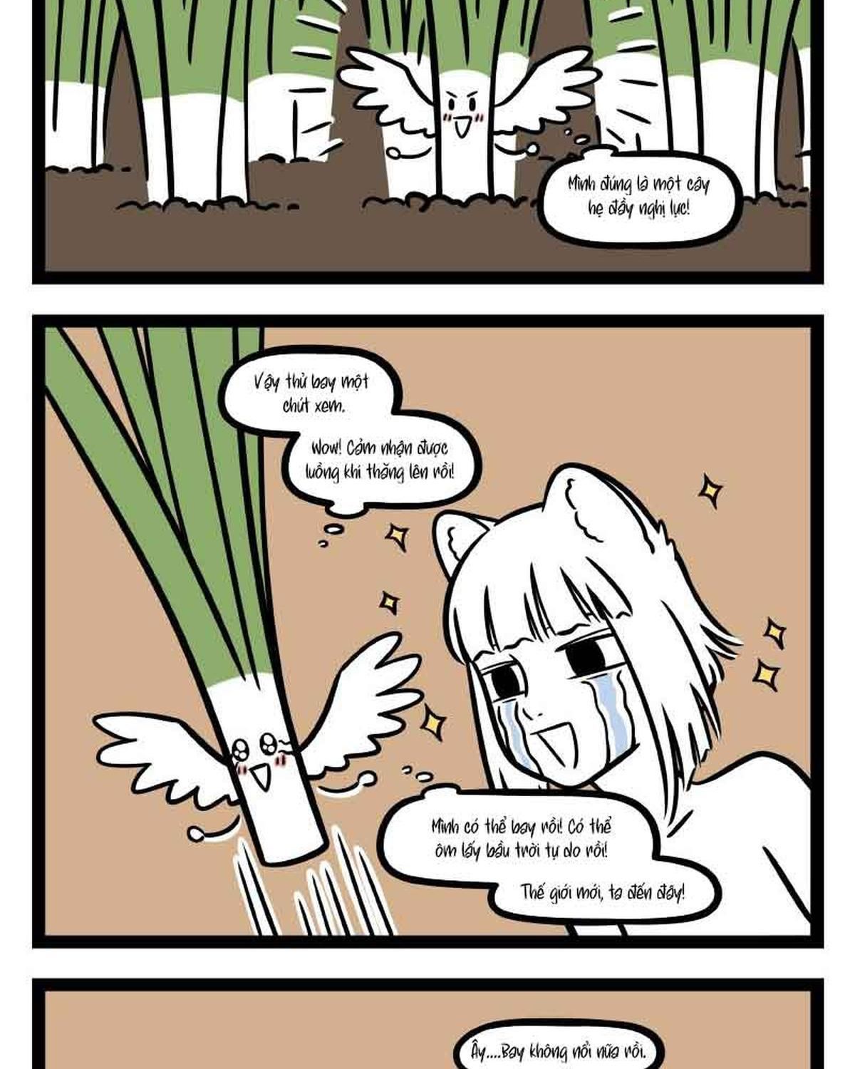 Phi Nhân Chapter 304 - Trang 2
