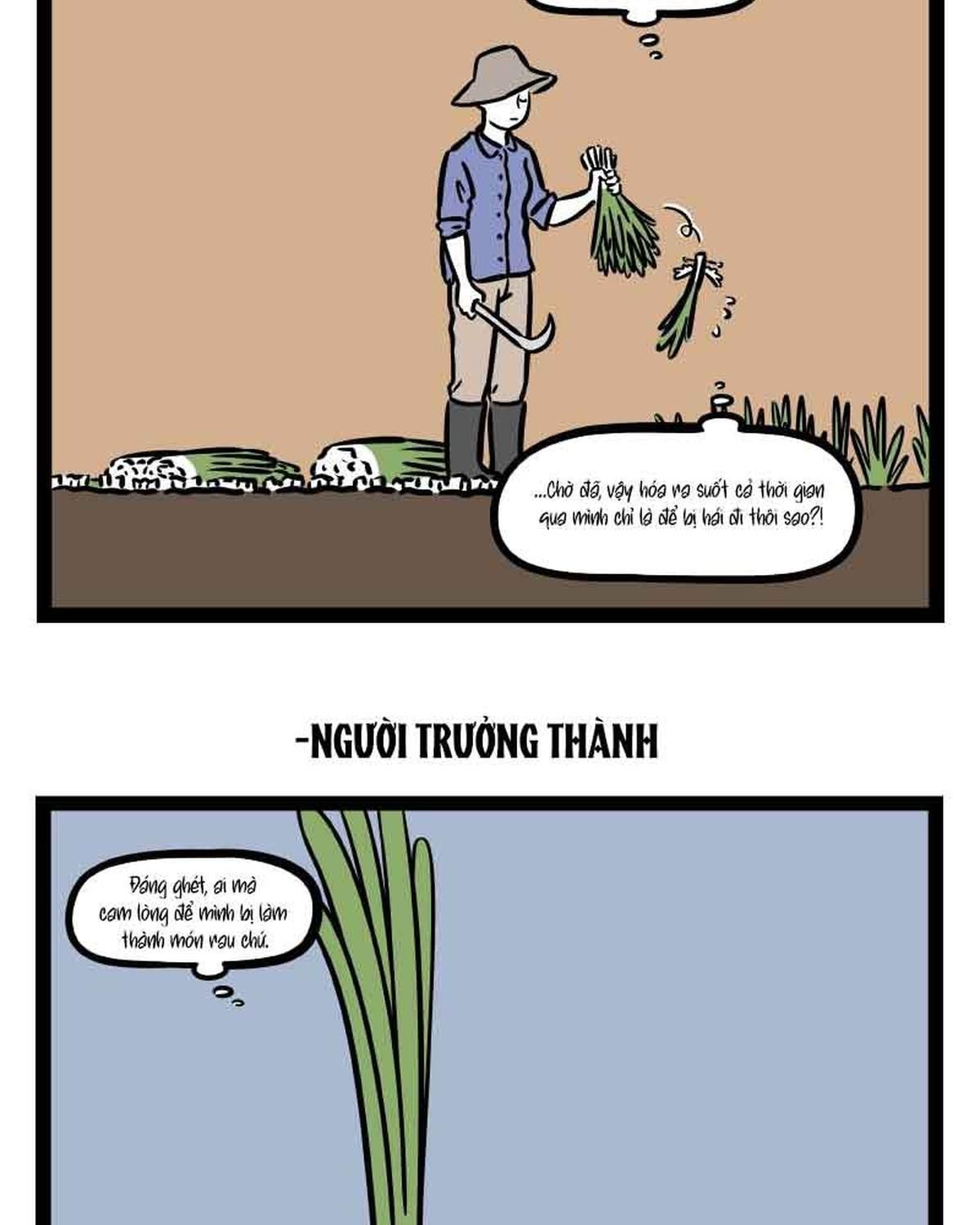 Phi Nhân Chapter 304 - Trang 2