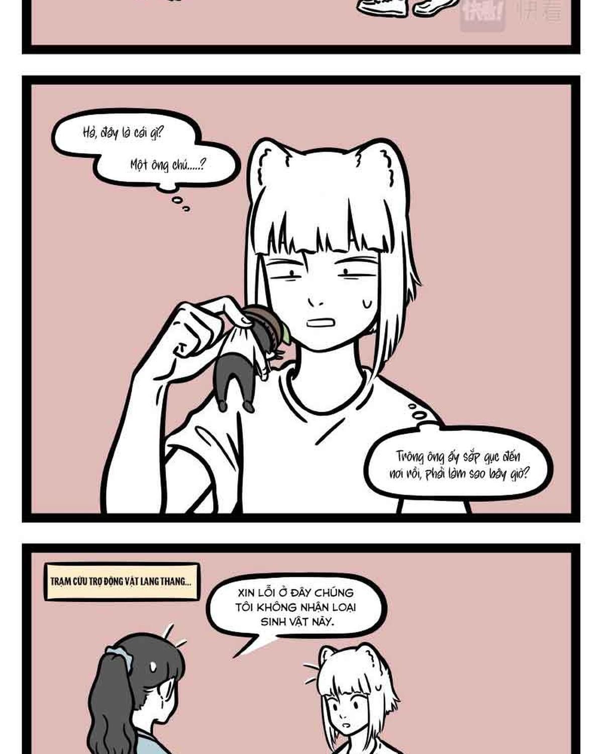 Phi Nhân Chapter 305 - Trang 2