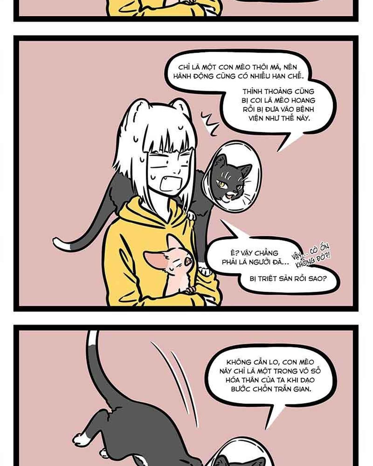 Phi Nhân Chapter 309 - Trang 2