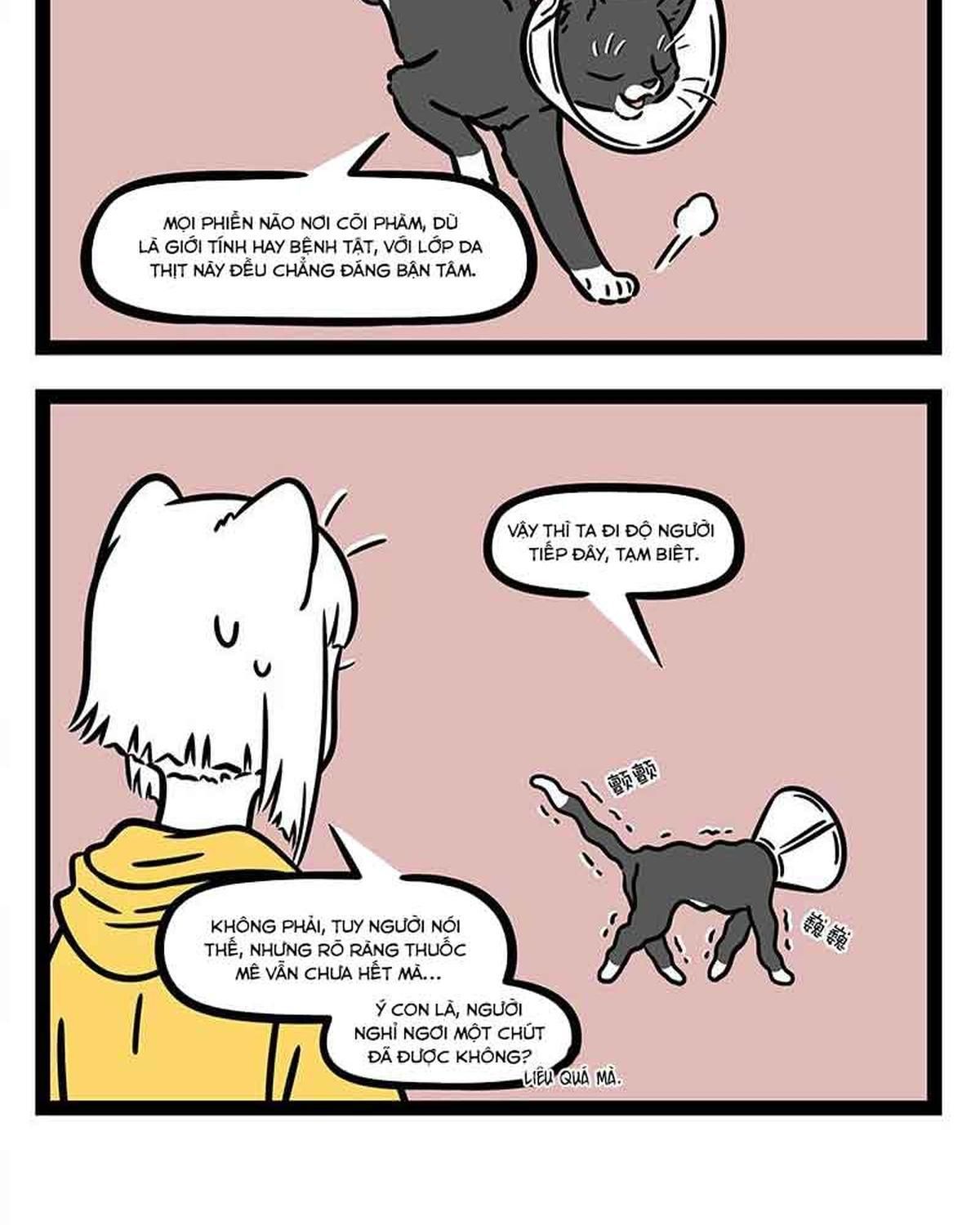 Phi Nhân Chapter 309 - Trang 2