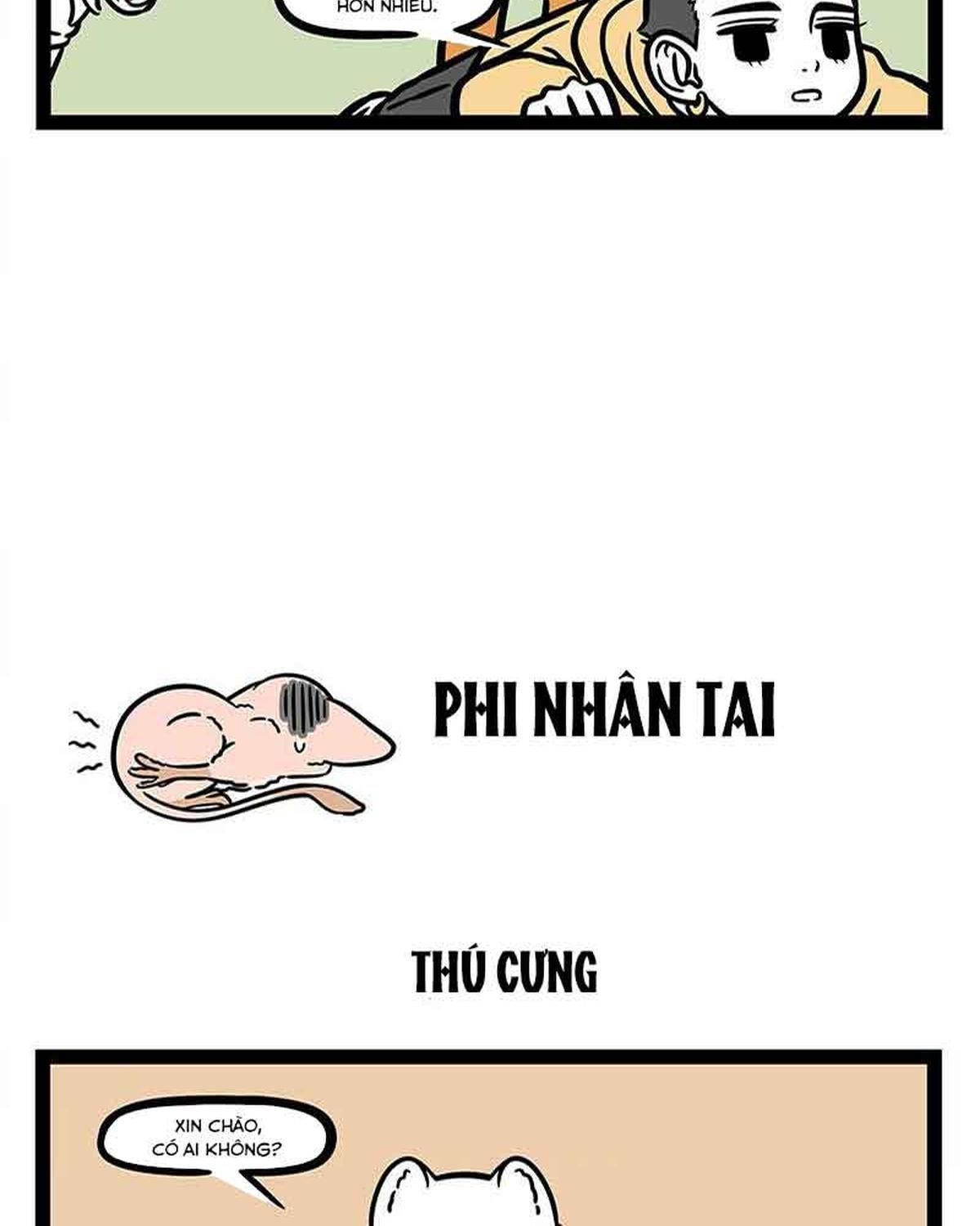Phi Nhân Chapter 309 - Trang 2