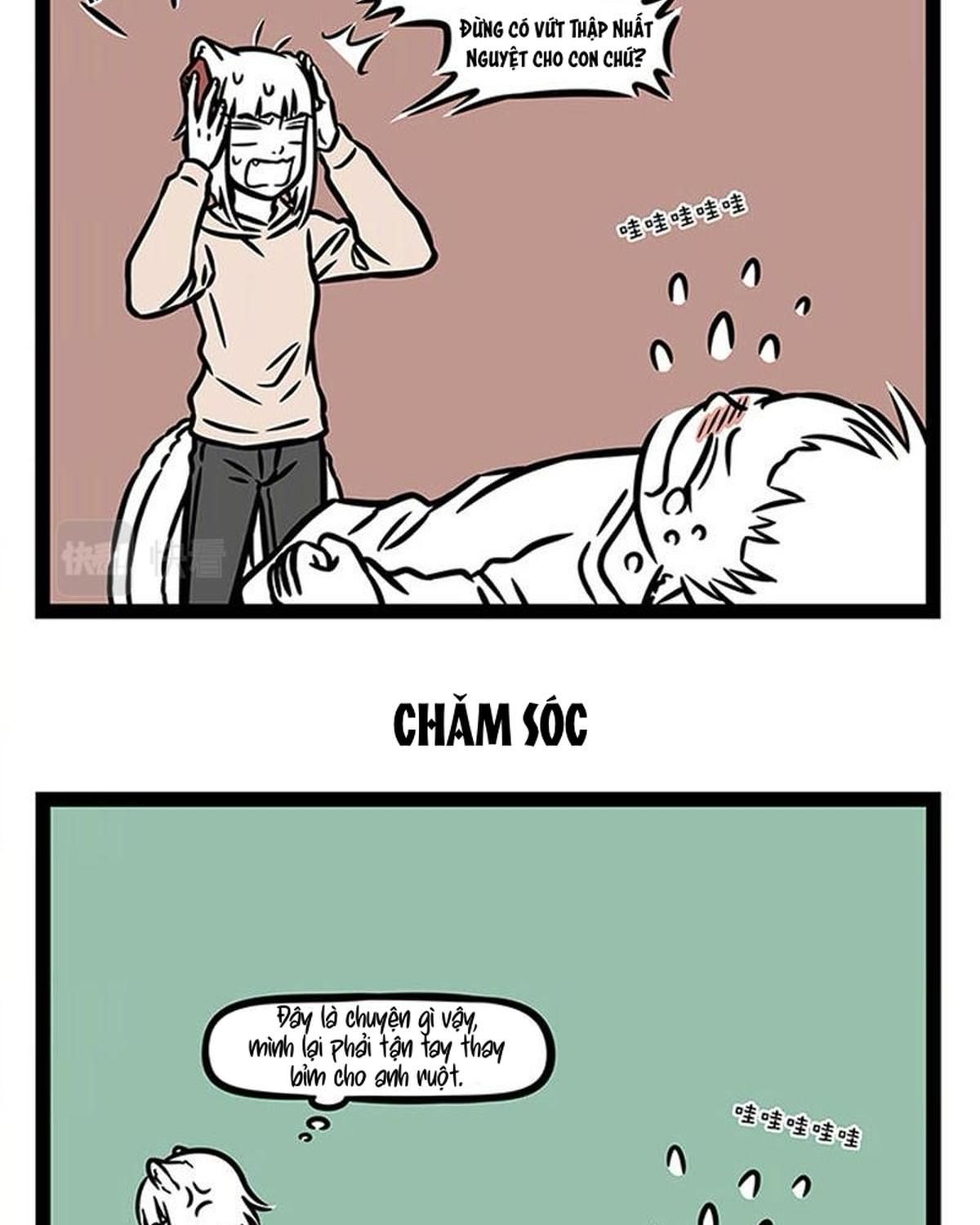 Phi Nhân Chapter 364 - Trang 2