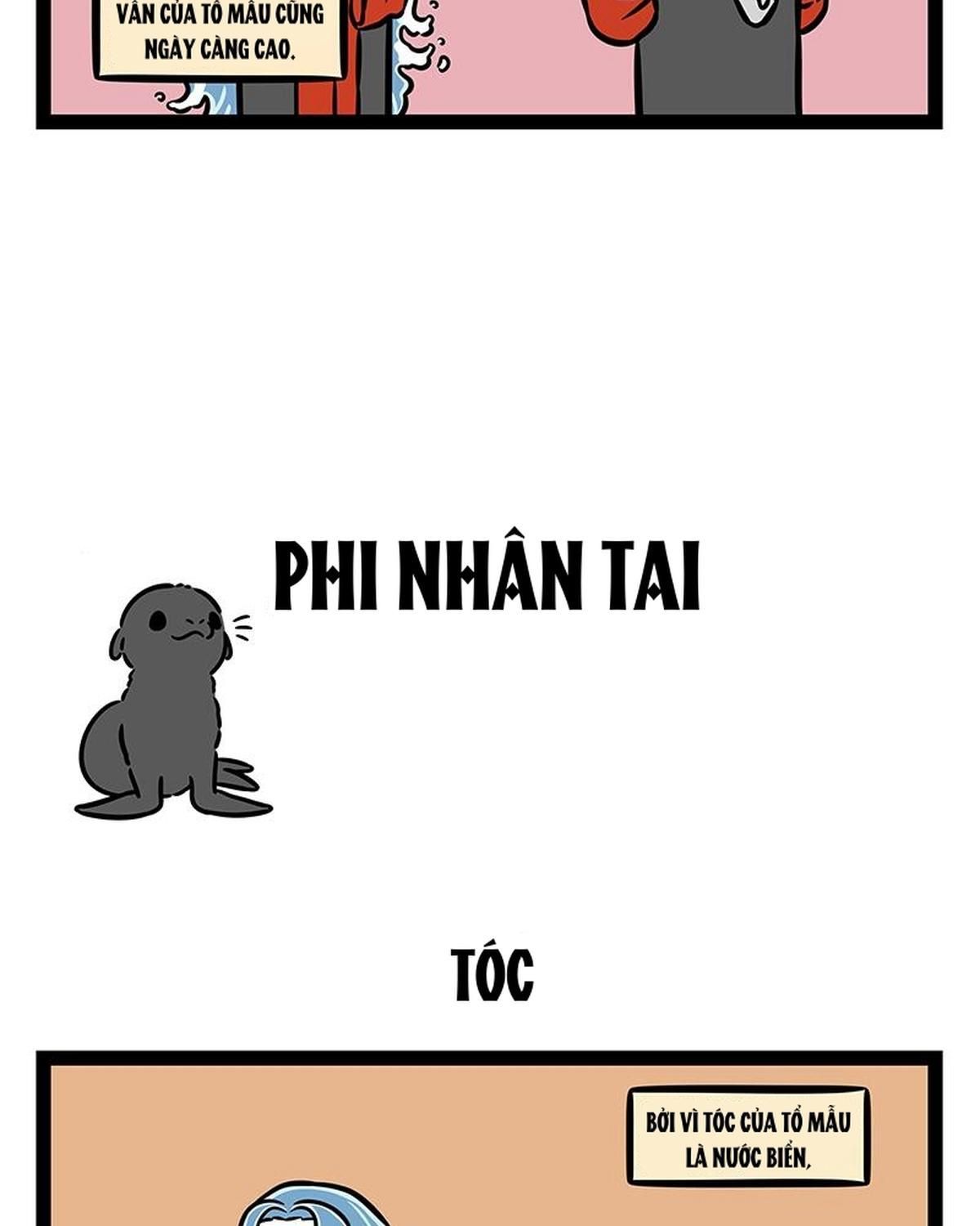 Phi Nhân Chapter 416 - Trang 2