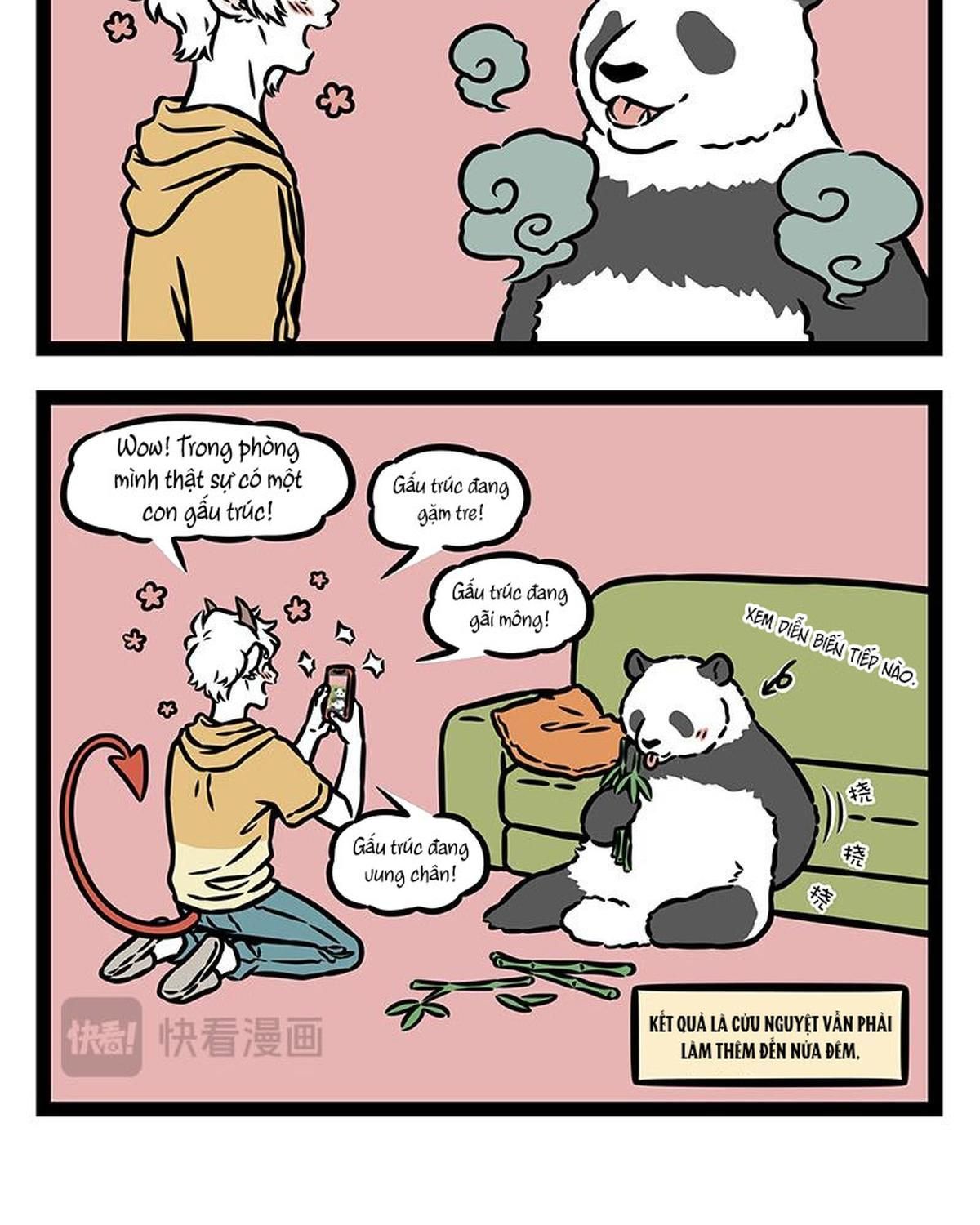 Phi Nhân Chapter 448 - Trang 2