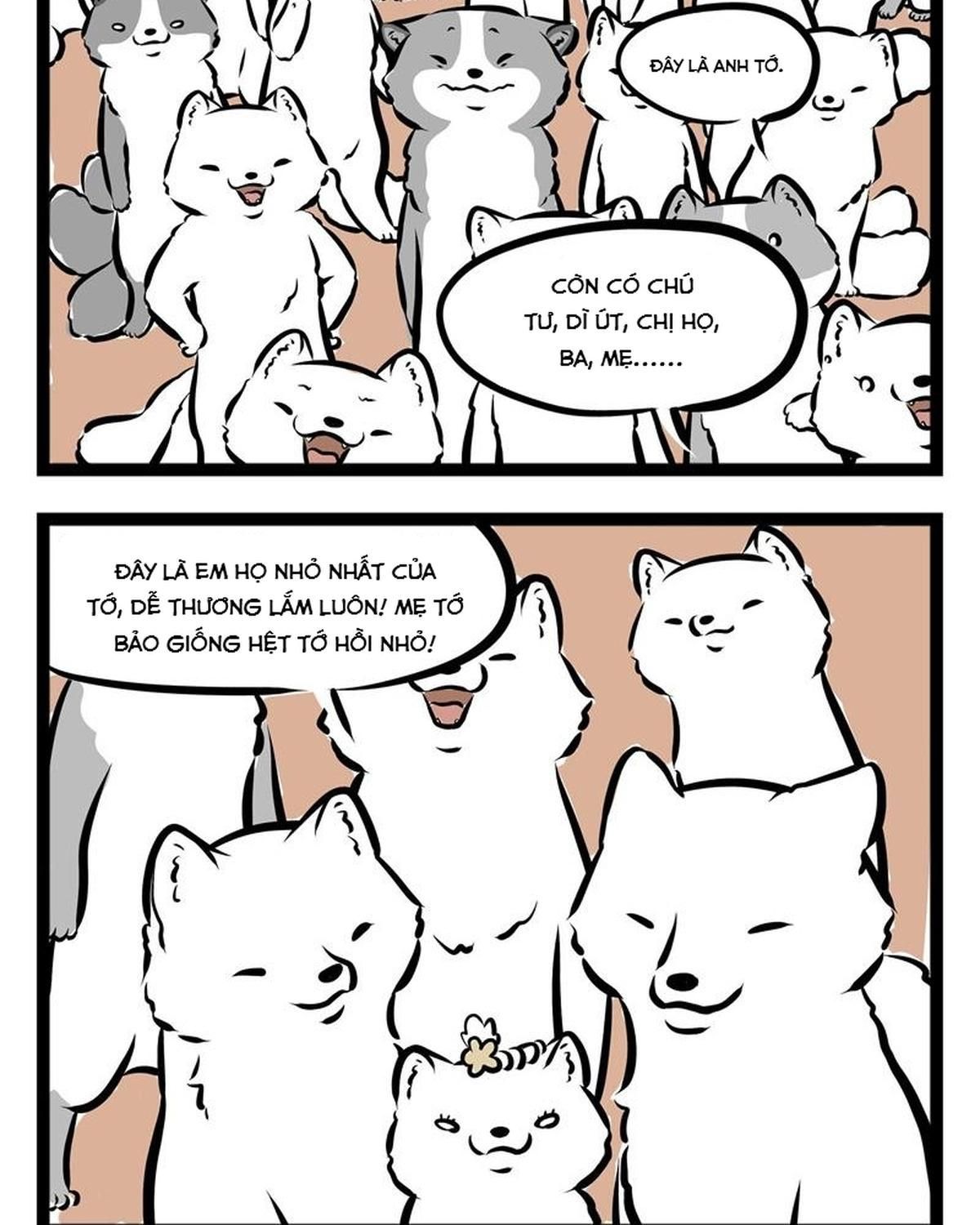 Phi Nhân Chapter 52 - Trang 2