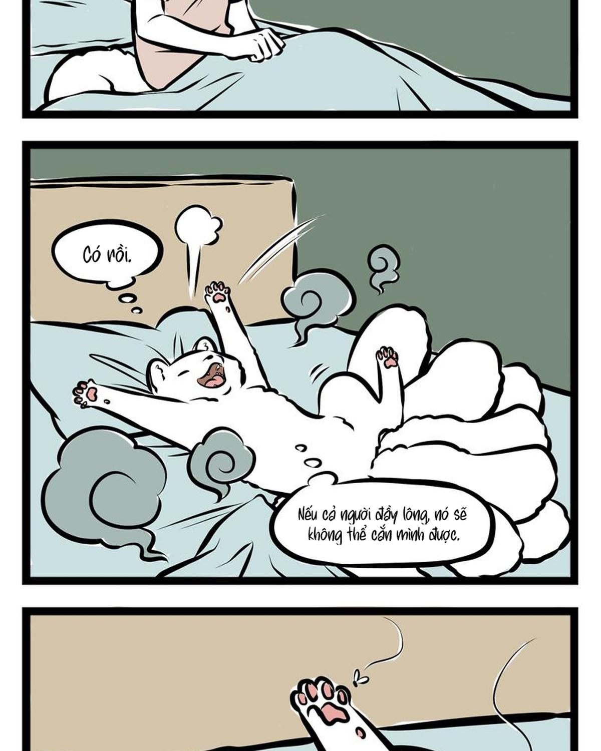 Phi Nhân Chapter 87 - Trang 2