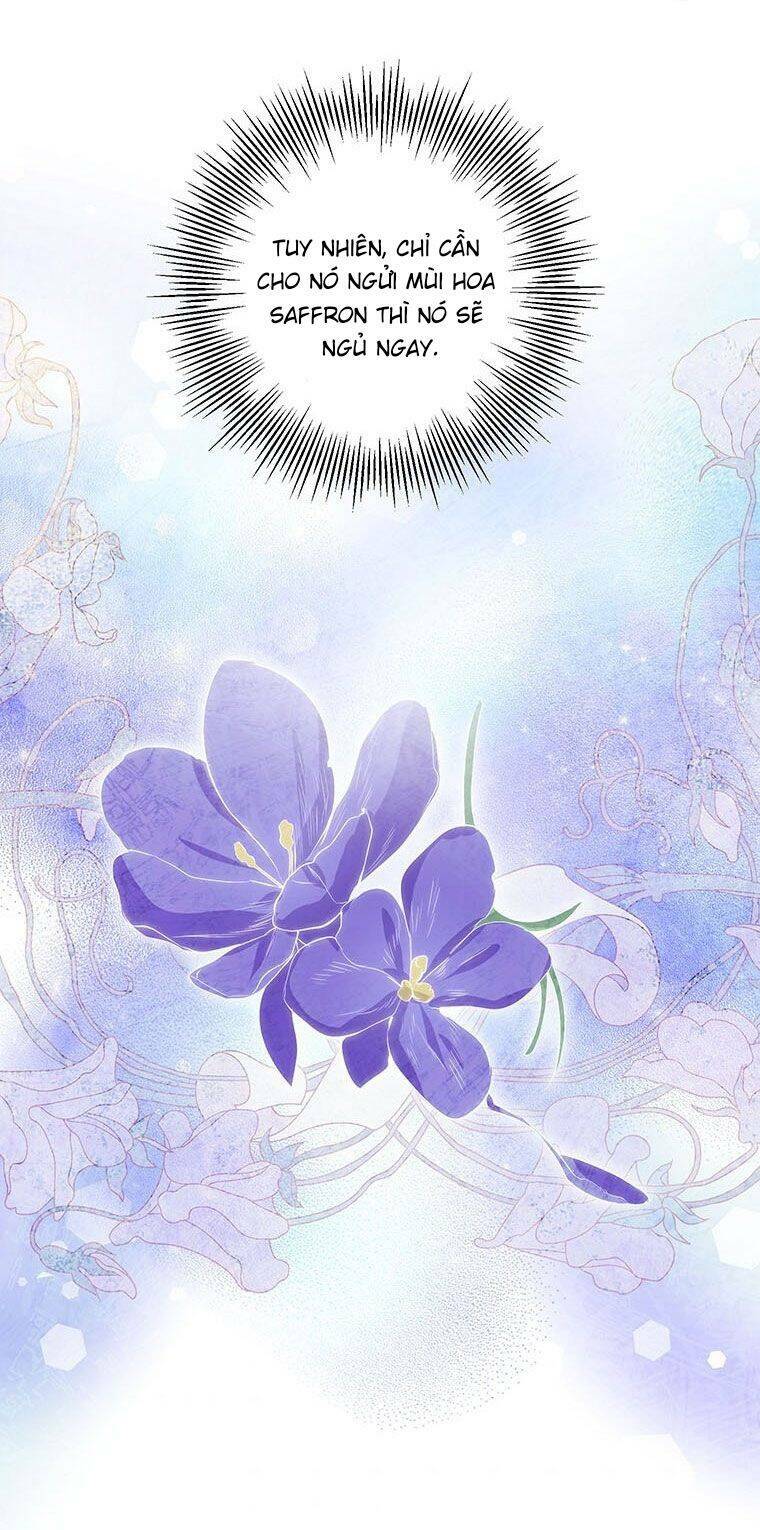 Phía Sau Mặt Nạ Của Nam Chính Hiền Lành Chapter 13 - Trang 2