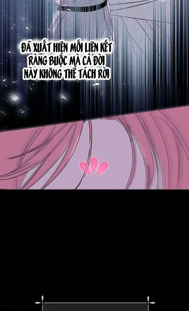 Phía Sau Mặt Nạ Của Nam Chính Hiền Lành Chapter 3 - Trang 2