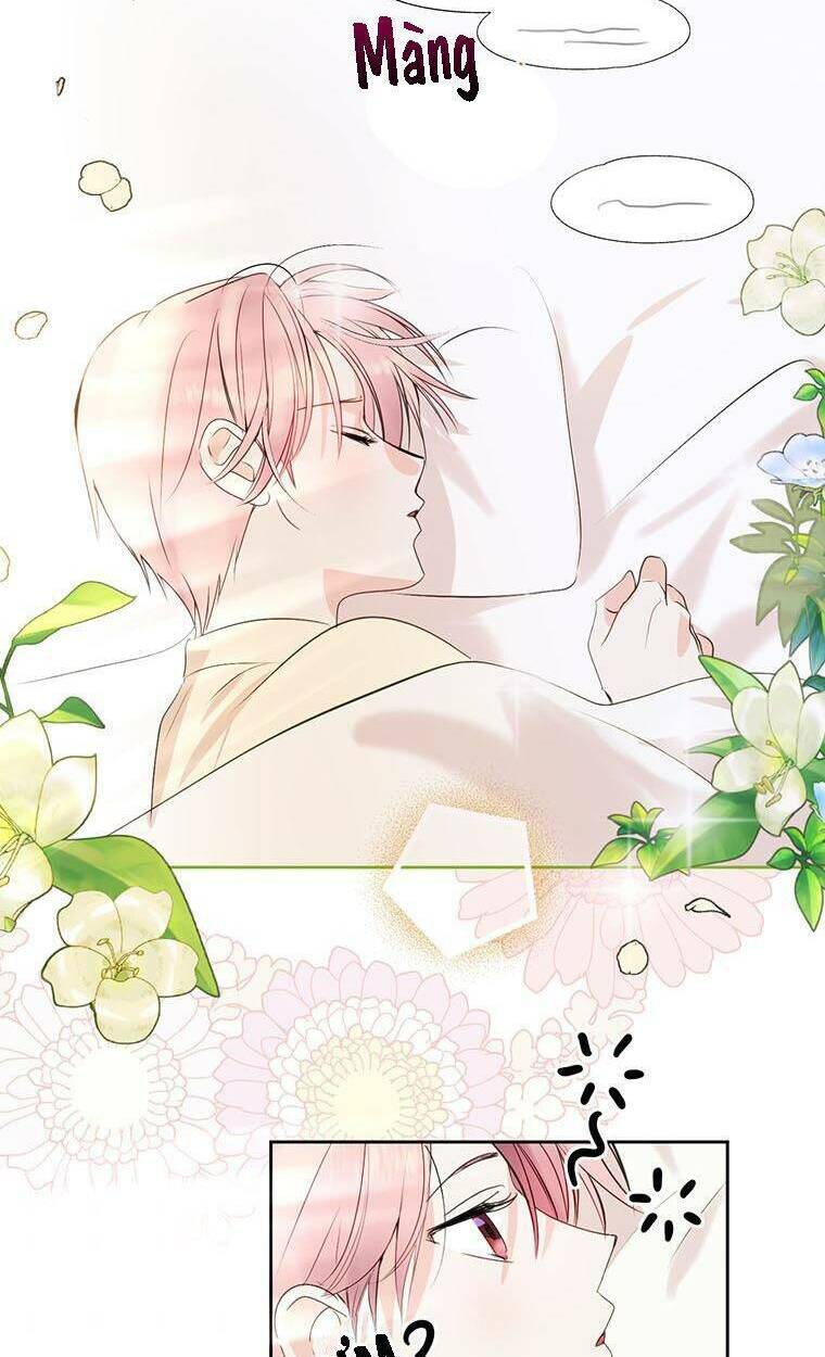 Phía Sau Mặt Nạ Của Nam Chính Hiền Lành Chapter 5 - Trang 2