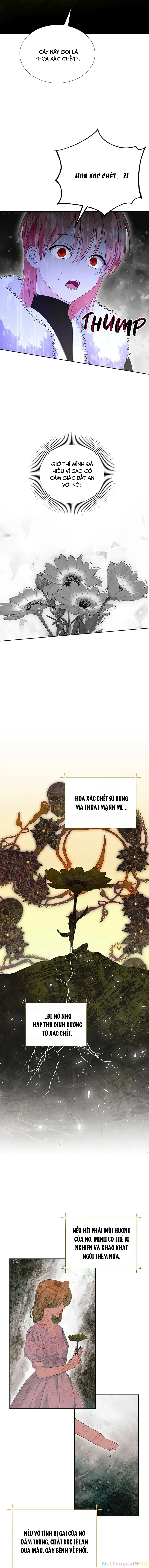 Phía Sau Mặt Nạ Của Nam Chính Hiền Lành Chapter 61 - Trang 2