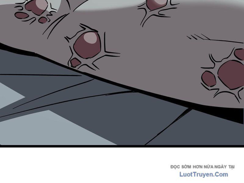 Phổ La Chi Chủ Chapter 6 - Trang 2