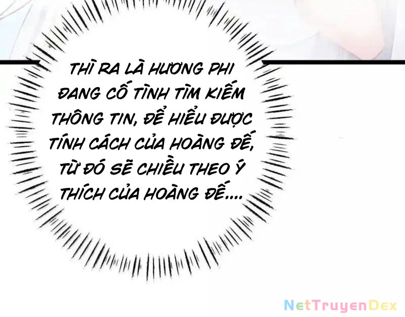 Phơi Bày Thân Phận Nữ Của Hoàng Đế Chapter 23 - Trang 2