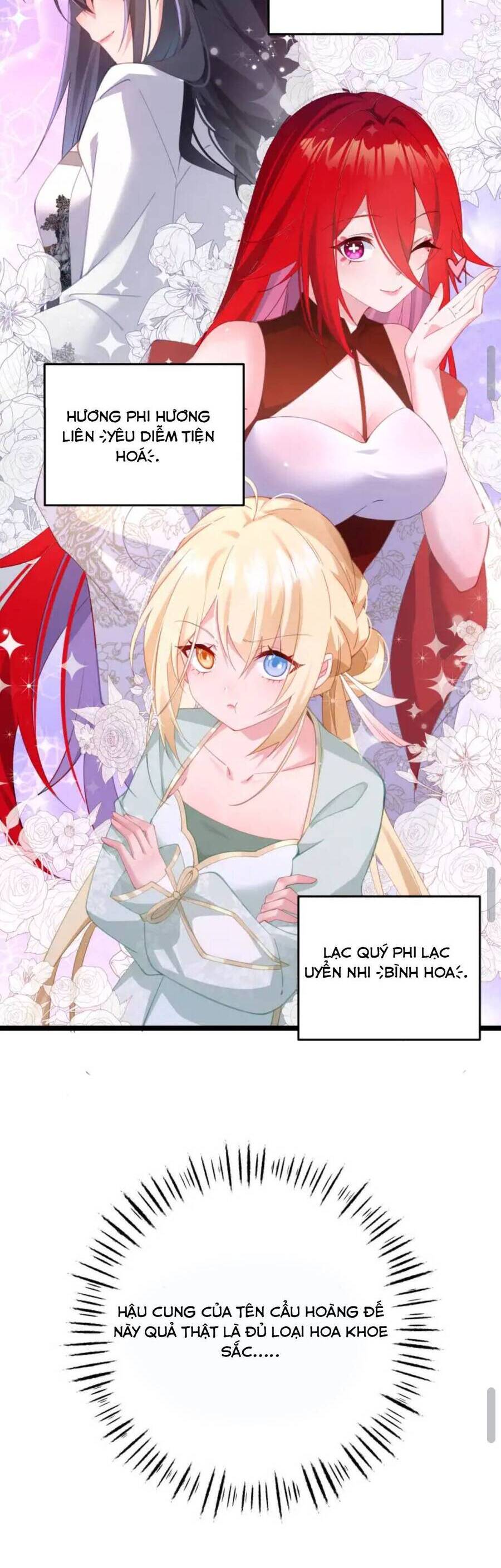 Phơi Bày Thân Phận Nữ Của Hoàng Đế Chapter 4 - Trang 2