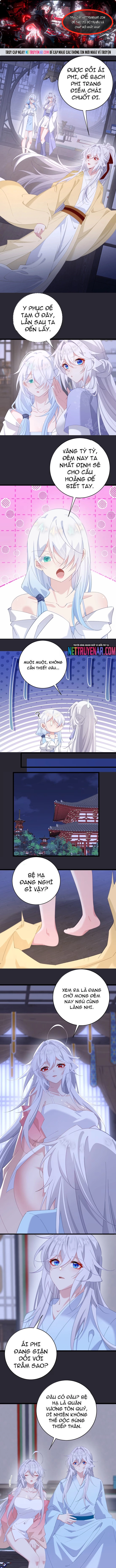 Phơi Bày Thân Phận Nữ Của Hoàng Đế Chapter 65 - Trang 2