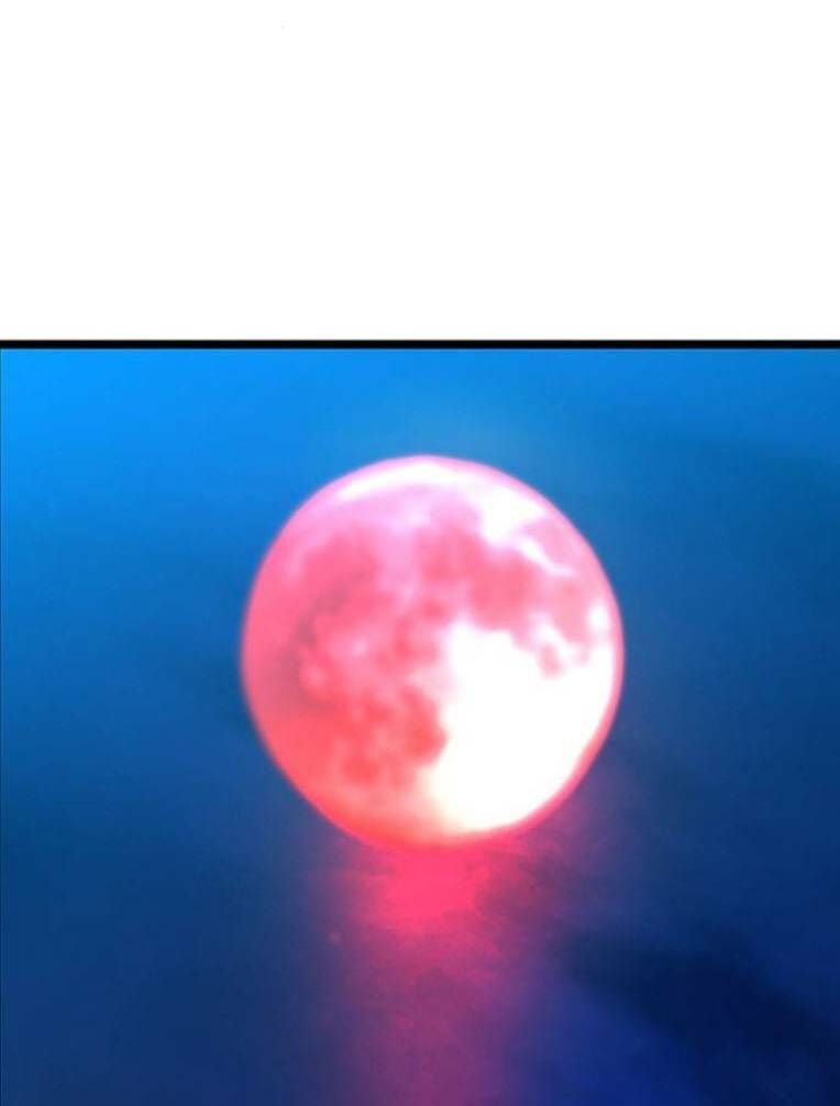 Phòng Gym Hanlim Chapter 128 - Trang 2