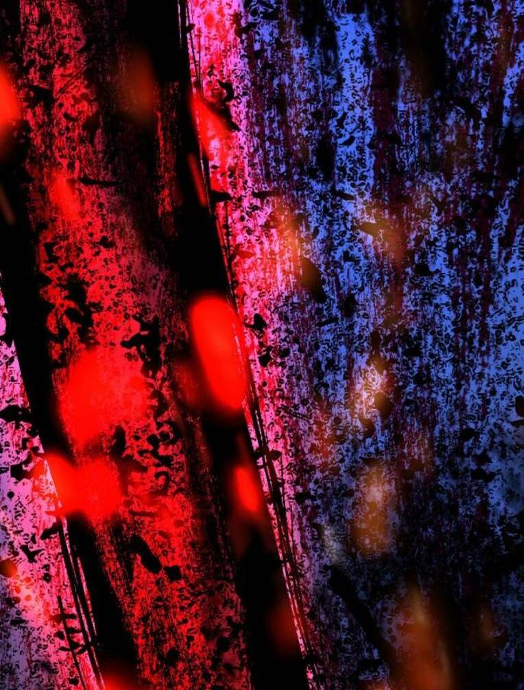 Phòng Gym Hanlim Chapter 132 - Trang 2