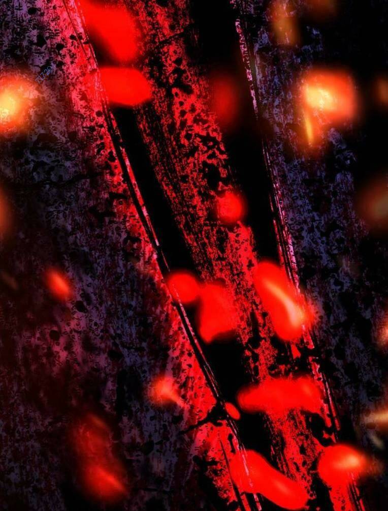 Phòng Gym Hanlim Chapter 132 - Trang 2