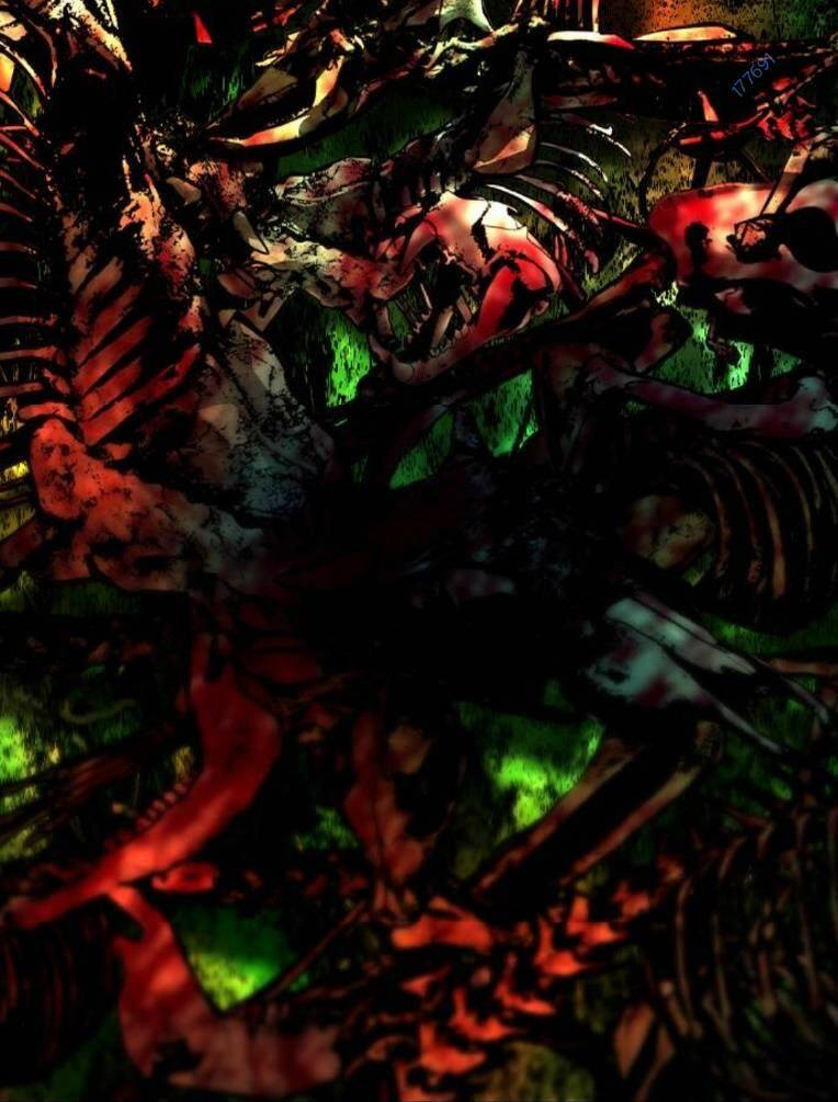 Phòng Gym Hanlim Chapter 143 - Trang 2